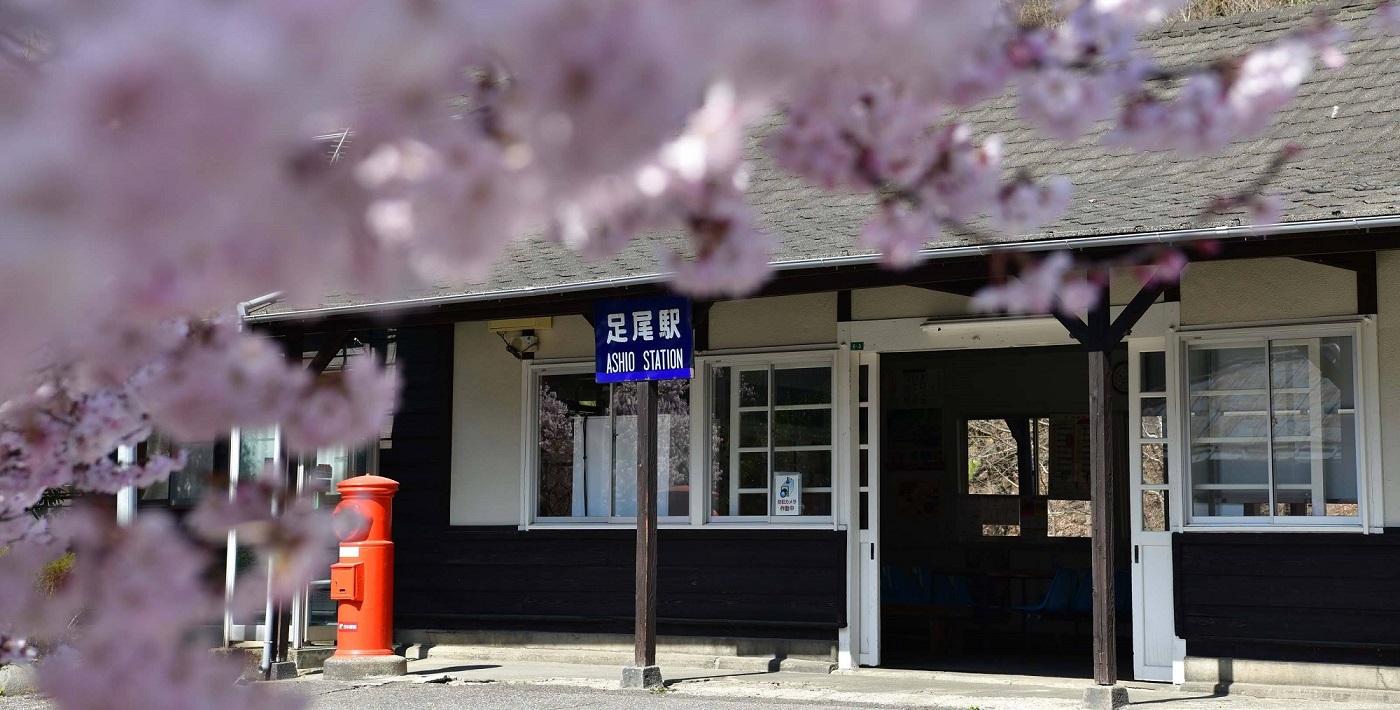満開の桜と足尾駅