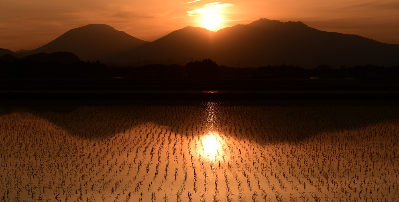 田植えの終わった水田に映る夕焼けの日光連山