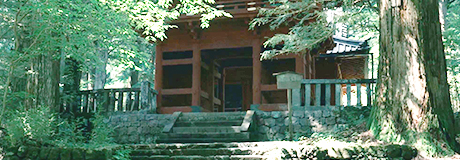 緑の中たたずんでいる日光二荒山神社を右斜め正面から写した写真