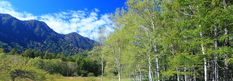 真っ青な空に白い雲、山の手前にはいろいろな種類の青々とした木々が育っている小田代原の風景写真