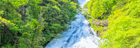 緑の木々の間の大きな湯滝を上空から写した写真