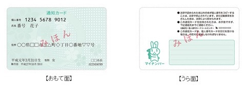 通知カード(表面・裏面)のサンプル