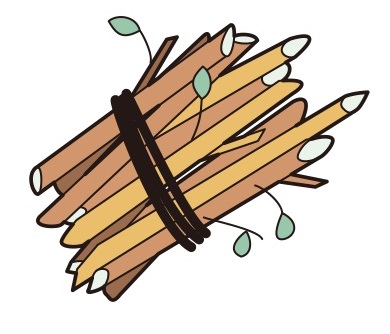 枝