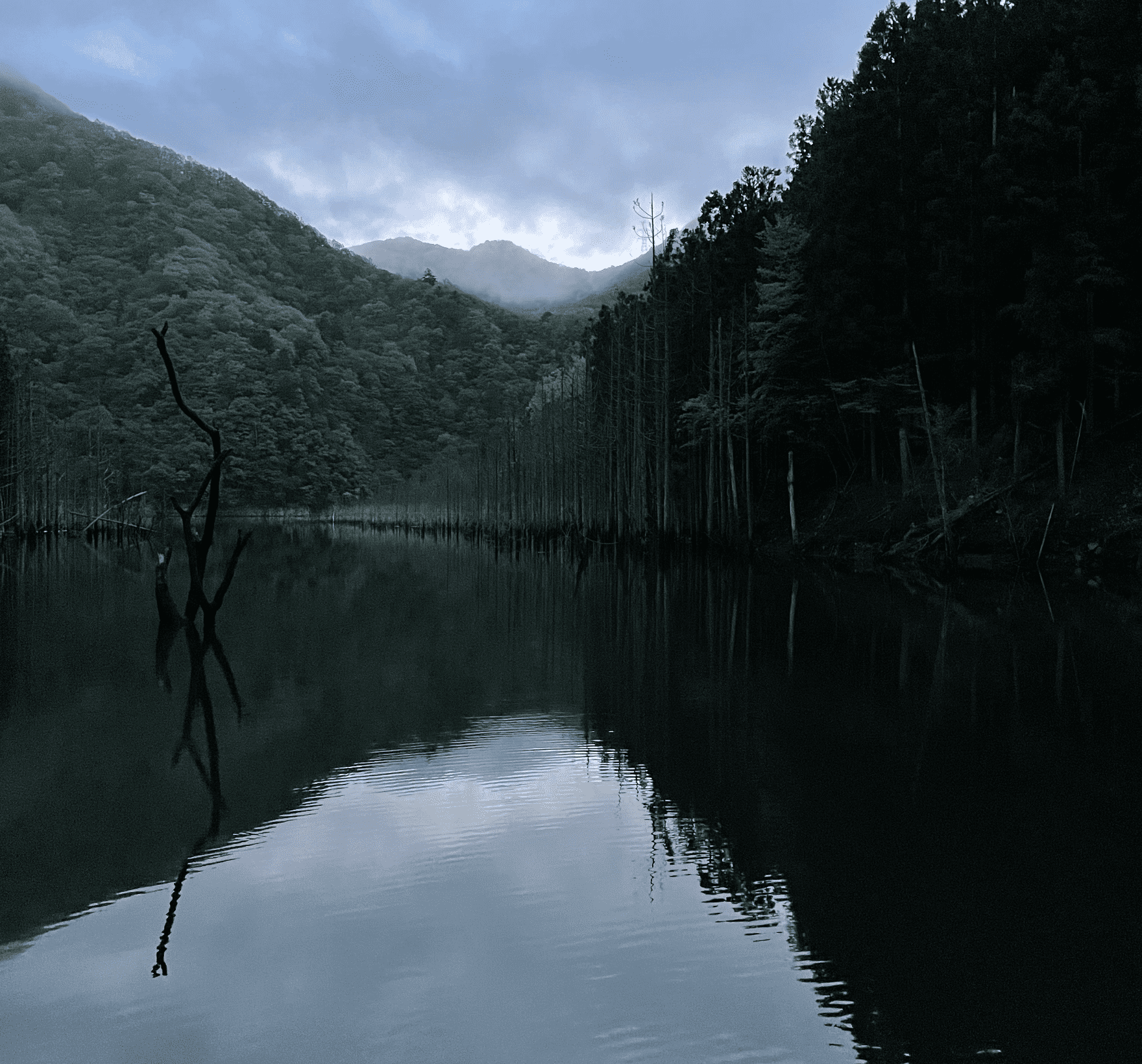 薄暗いダムの周りの樹木が水面に写し出された写真