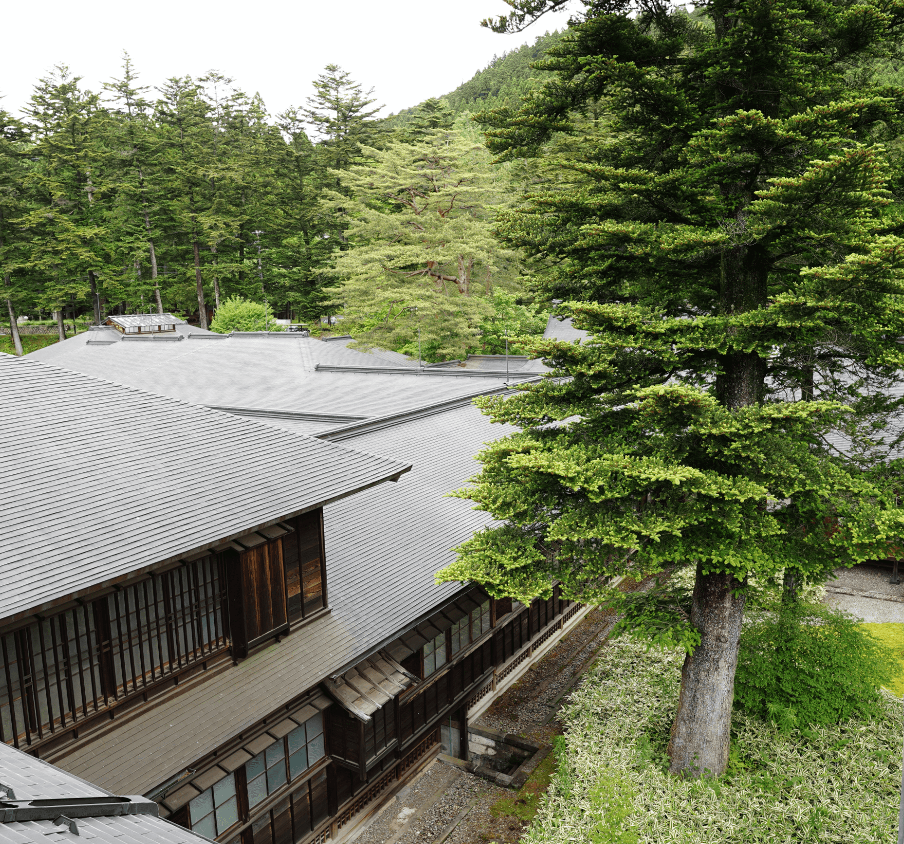 木々の中に建つ日光田母沢御用邸全体を高い位置から写した写真