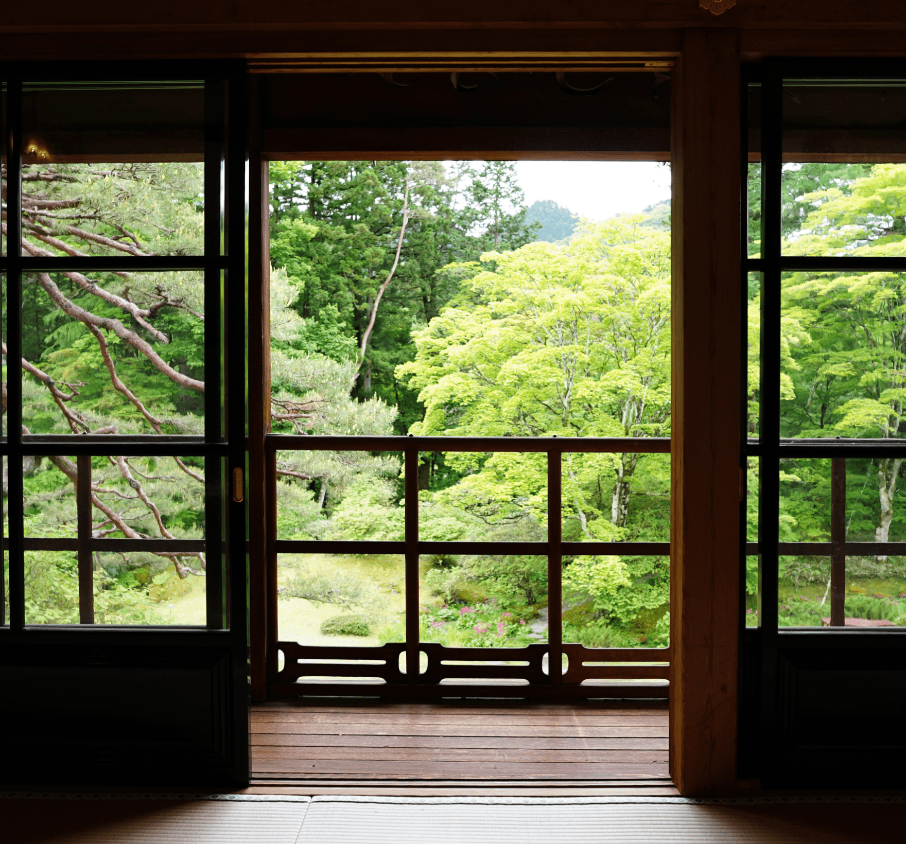 部屋の窓から見える緑の木々を写した写真