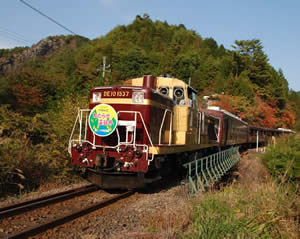 所々紅葉した木々の中を走る小豆色の車体のトロッコ列車の写真