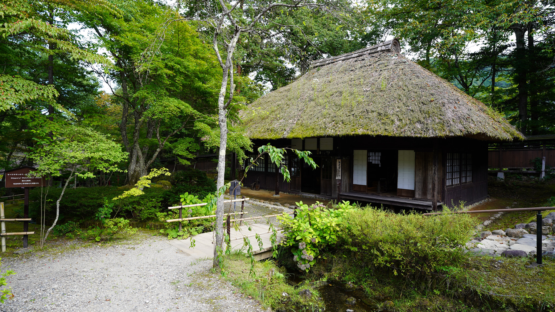 緑の木々に囲まれた奥に見える茅葺屋根の平家の里の家屋を写した写真