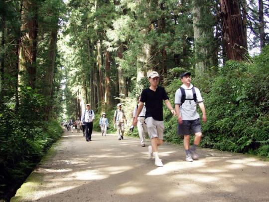 左右に木々が生い茂っている舗装された道をハイキングしている人たちの写真