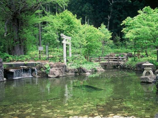 石燈籠のある池の向こうにある鳥居の写真