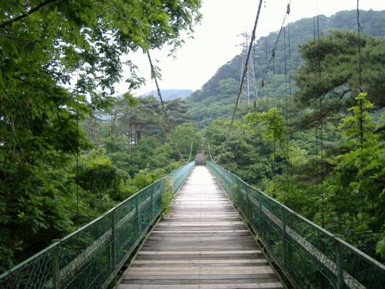 緑のつり橋を入り口から渡るときの景色の写真
