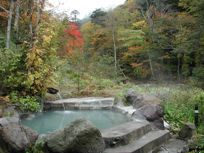 紅葉に囲まれた岩づくりの温泉の写真