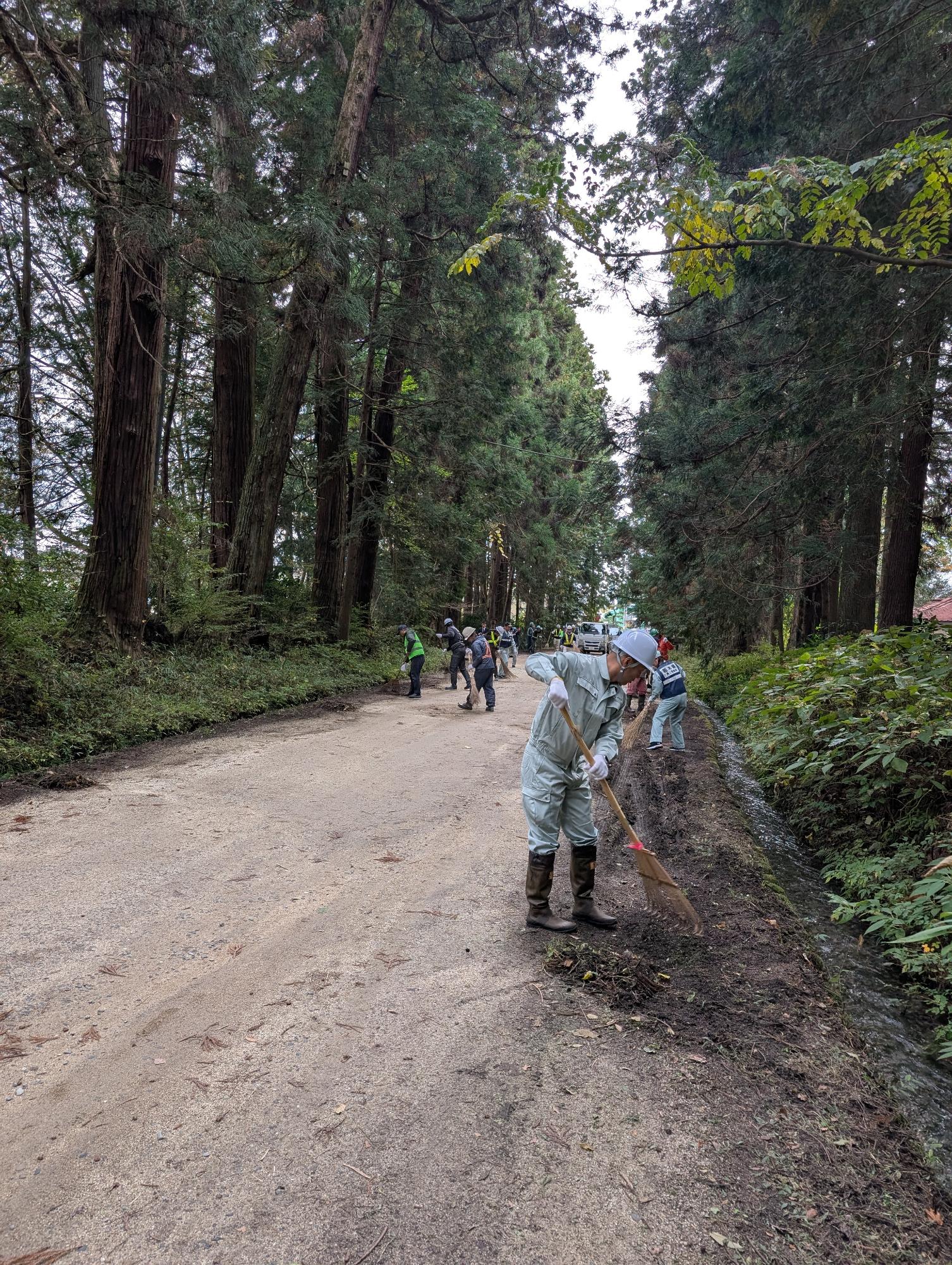 クリーンアップキャンペーン