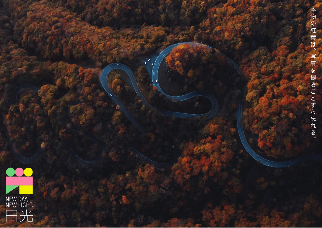 「本物の紅葉は、写真を撮ることすら忘れる。」の文字と、紅葉した木々の中にあるカーブした道路を上空から写した写真