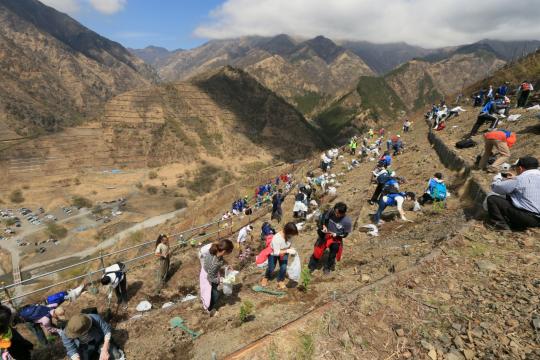 沢山の参加者が列になり斜面で植樹活動を行っている様子の写真