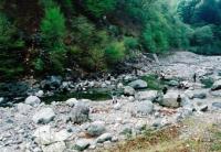 木々に覆われた川に、大小の岩がごろごろしている川辺から釣りをしている人々の写真