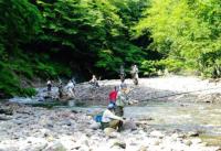 木々に覆われた、岩の多い川辺で釣りをしている人々の写真