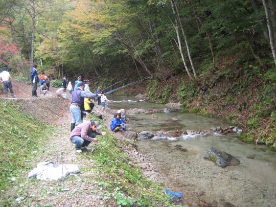 木々に覆われた川辺で10人程が釣りをして、その後ろに見学者がいる写真