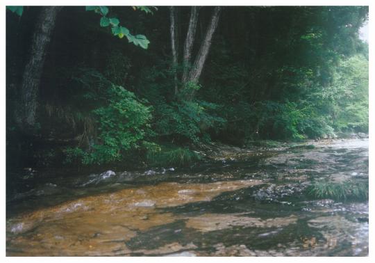 茶色い岩の上をなだらかに流れている川の写真