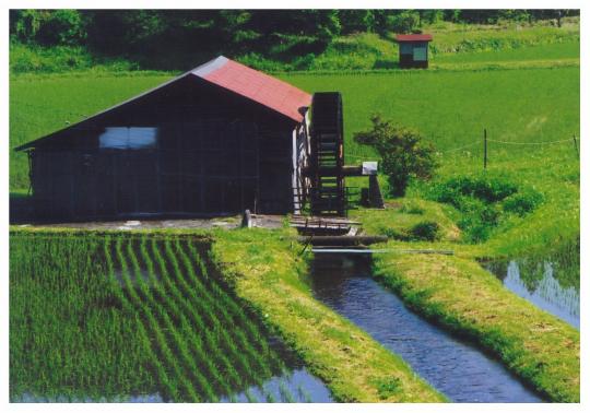 周囲には田んぼが広がる、水車のある平屋の写真