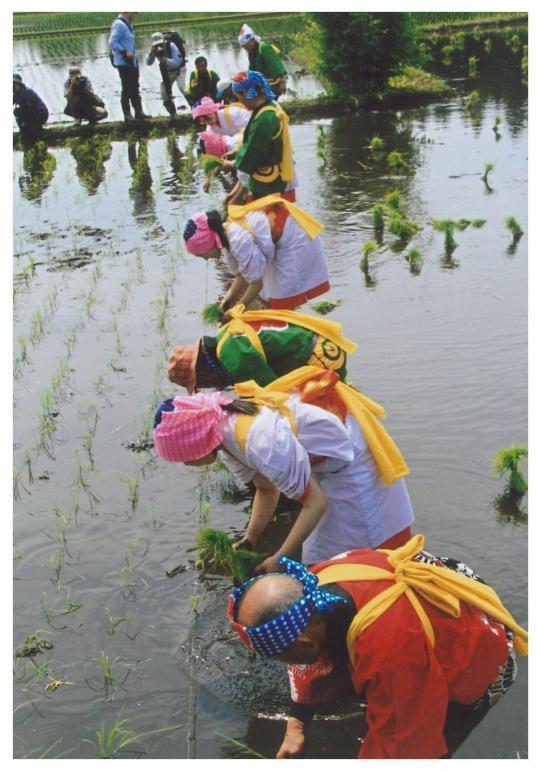 色とりどりの衣装を着て田植えをする人々の写真