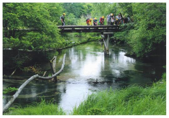 緑に囲まれた川の上に架かる青木橋の写真