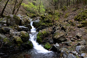 岩の間を川が小さく流れる「船が沢」の写真
