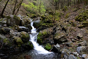 岩の間を川が小さく流れる「船が沢」の写真