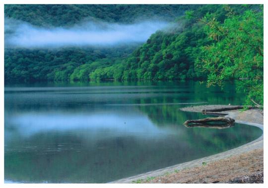 木と湖の鏡面反射している千手が浜の写真