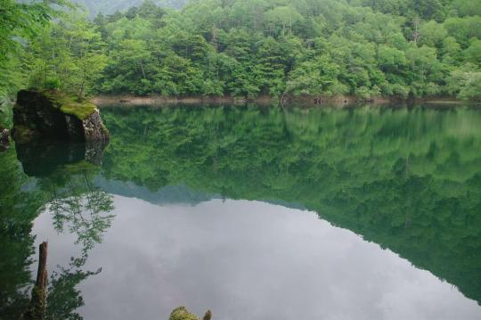 緑の中で鏡面反射している湖の写真
