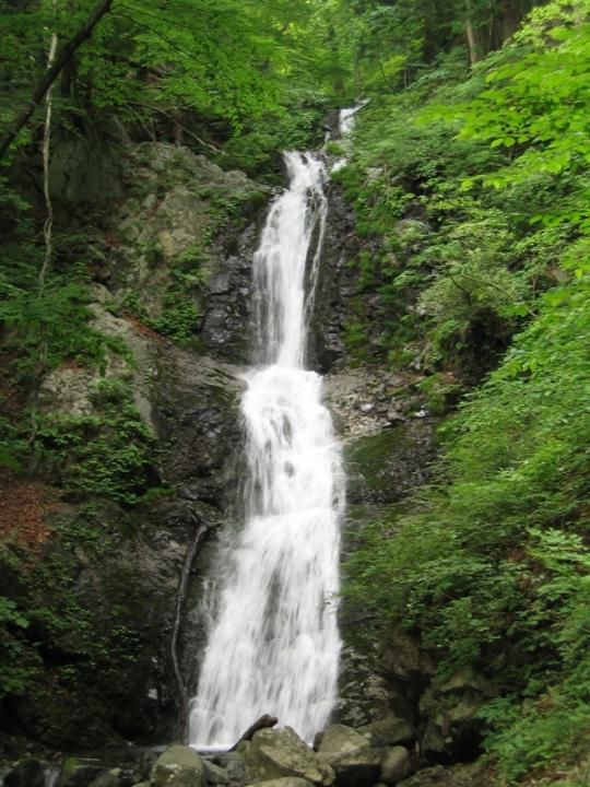 苔むした二段の岩肌を流れ落ちる寂光の滝の写真