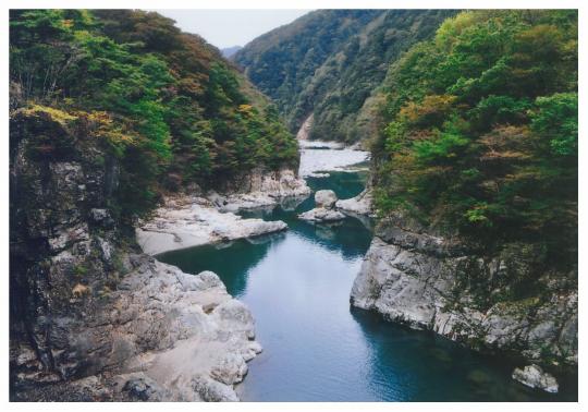 森の間に奇岩が続く険しい渓谷とその中心に小川が流れている様子の写真