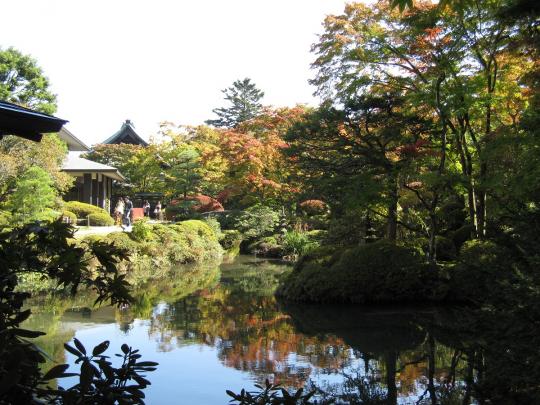 逍遙園の池に景色が映っている写真