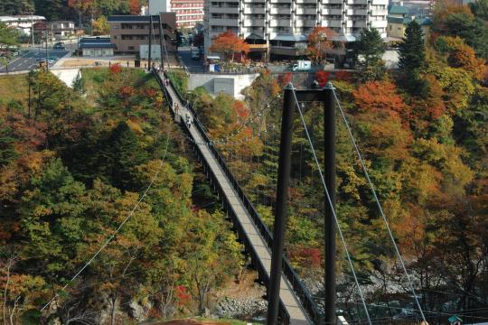 紅葉の混じる木々を背景に真上から見た大吊橋の写真