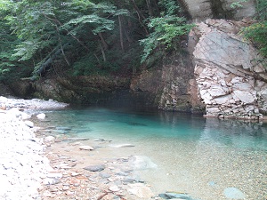 森林を背景に流れるサファイアブルーの色をした穏やかな川の写真