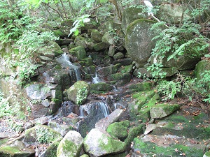 岩の中から水が湧き出ている写真