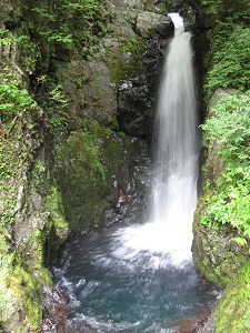 苔むした岩肌を流れ落ちる庚申七滝の写真