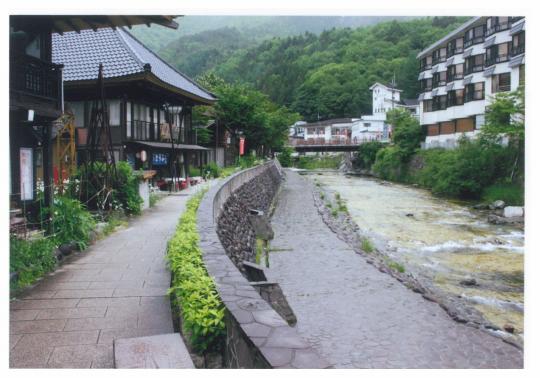 穏やかに流れる湯西川とその左右に建物が並び奥に山々がそびえたっている様子の写真