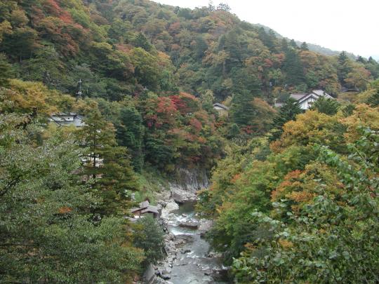 紅葉の混じる木々が生い茂る山々に囲まれて流れる鬼怒川の写真