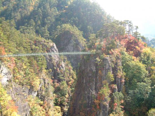 紅葉の混じる山とその間に一直線に架かる薄い緑色の吊り橋の写真