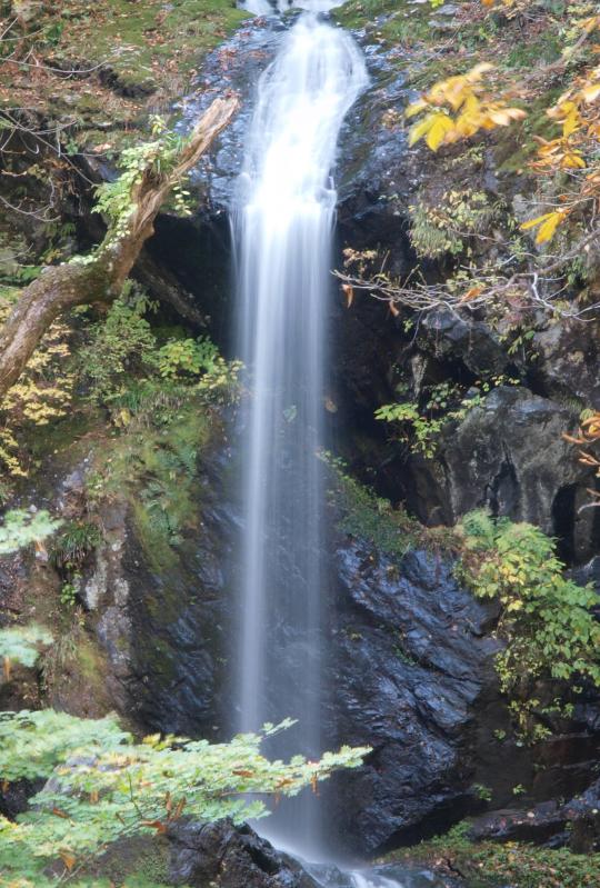 苔むした岩から流れ落ちる白滝の写真