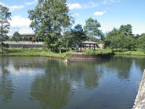 青空と緑のなかにある、文挟ため池の写真