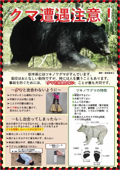 bearjapanese