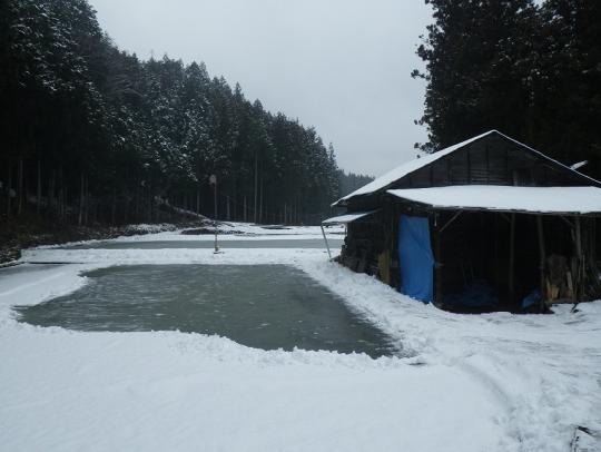 森の中に氷を張った氷池と小屋がある写真