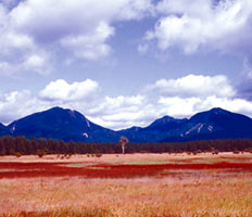 山を背景に青い空の下の草紅葉の風景の写真