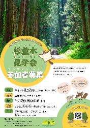 杉並木見学会~杉並木を歩いてみよう!~