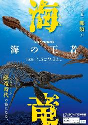 那須野が原博物館特別展「海の王者海竜展」