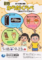 第145回企画展「からだくらべ」