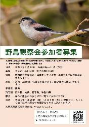 野鳥観察会参加者募集チラシ