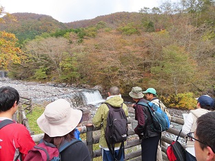 参加者の方々が展望台から紅葉が始まった山と川を眺めている写真